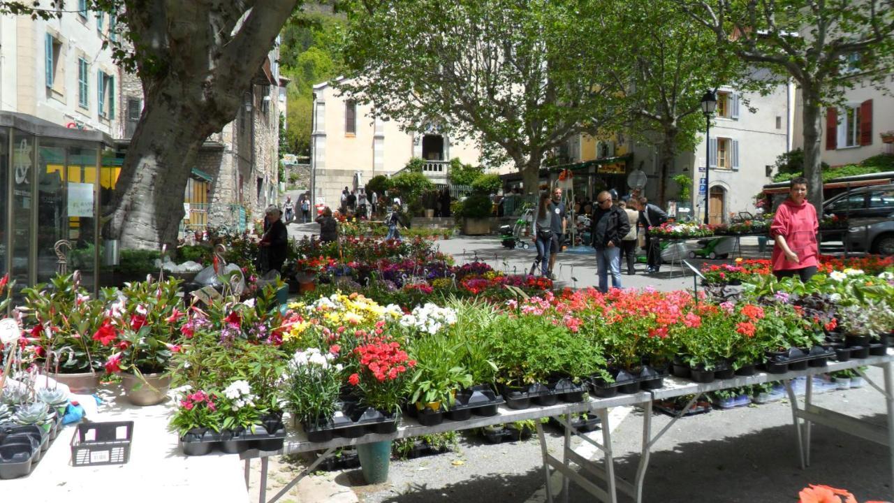 Camping Panoramique Du Verdon กาสเตลลาน ภายนอก รูปภาพ